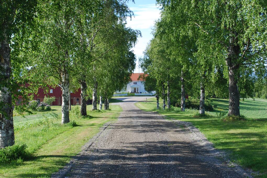 Entrance of the farm