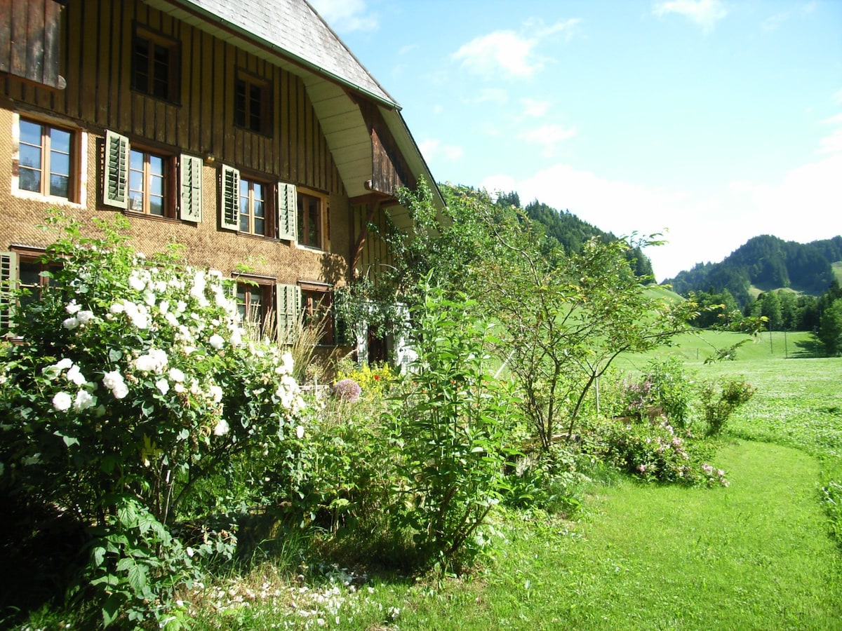 Schweiz Ferienwohnungen & Unterkünfte | Airbnb