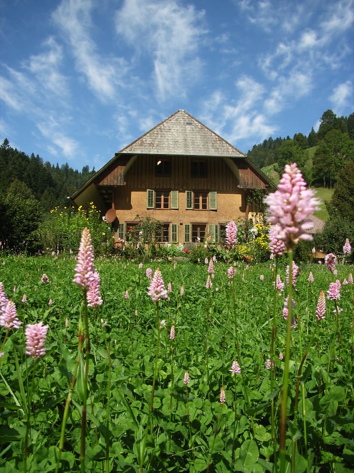 Newly renovated cozy apartment in Trub Apartments for Rent in Trub