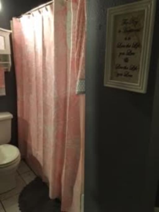 Full size shower and bathtub.
