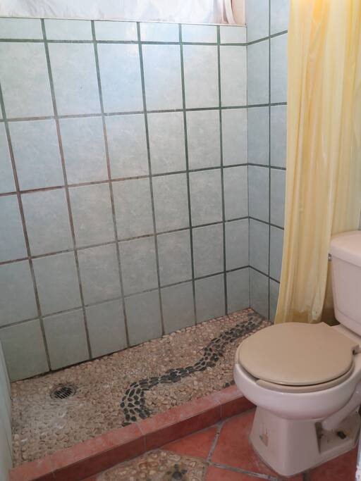Hand crafted bathroom with shower