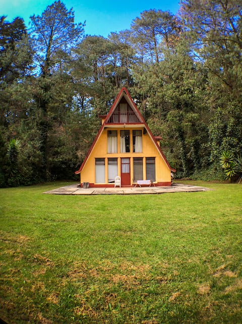 House in the middle of the forest. Ideal for families