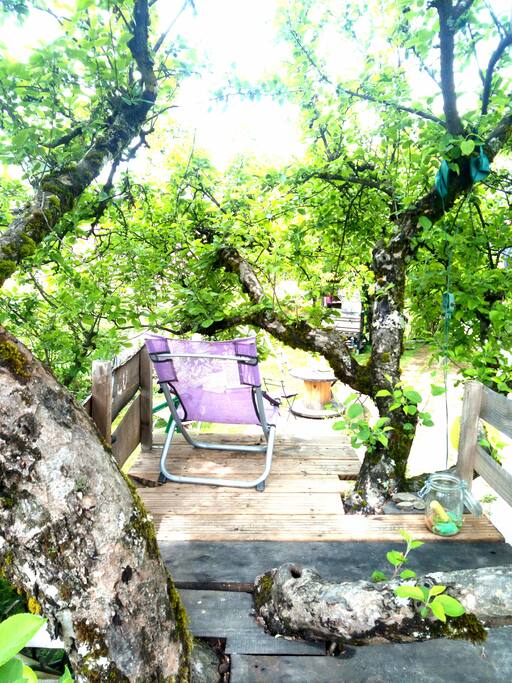 coin lecture dans un arbre