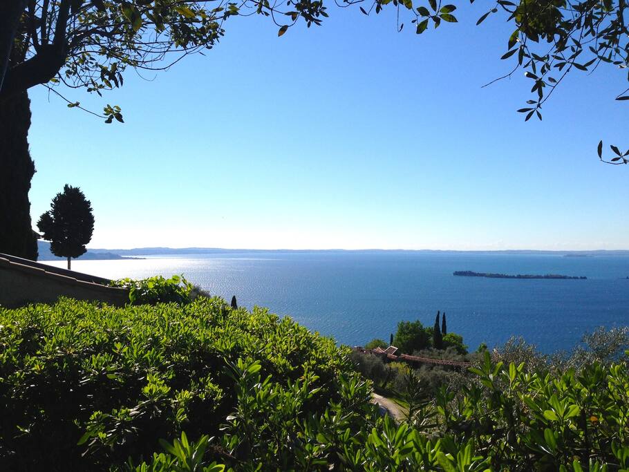 307ada20 6281 40e9 973d 2c2c8b7995a5