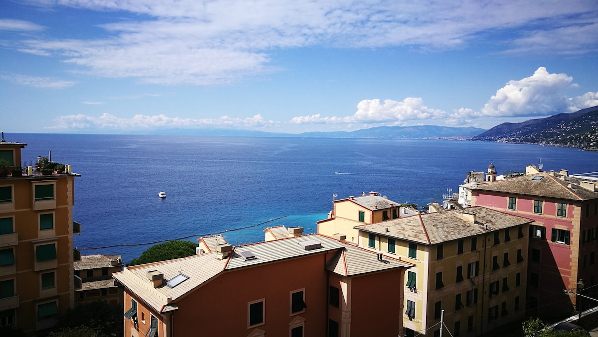 A panoramic view of the sea is captured, showcasing vibrant blue waters under a clear sky dotted with clouds. The foreground features colorful buildings in warm tones, blending harmoniously with the coastal landscape. The horizon stretches across the water, suggesting a serene, welcoming environment.