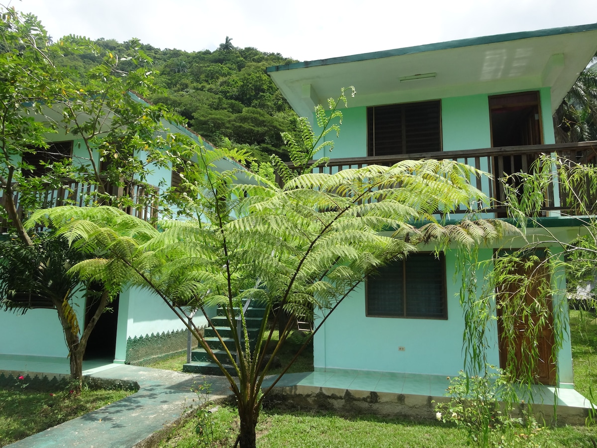A two-story building with a light blue exterior is set among lush greenery. A large fern is prominently featured in the foreground, while stairs lead to the upper balcony. Windows are seen on both levels, blending nature with the structure.