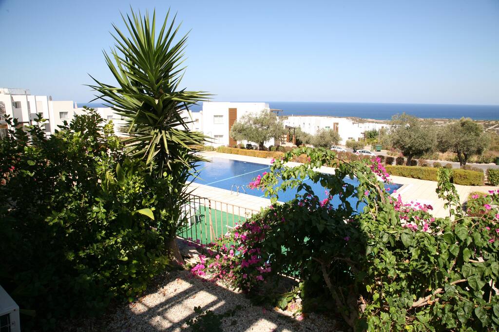 View from Terrace