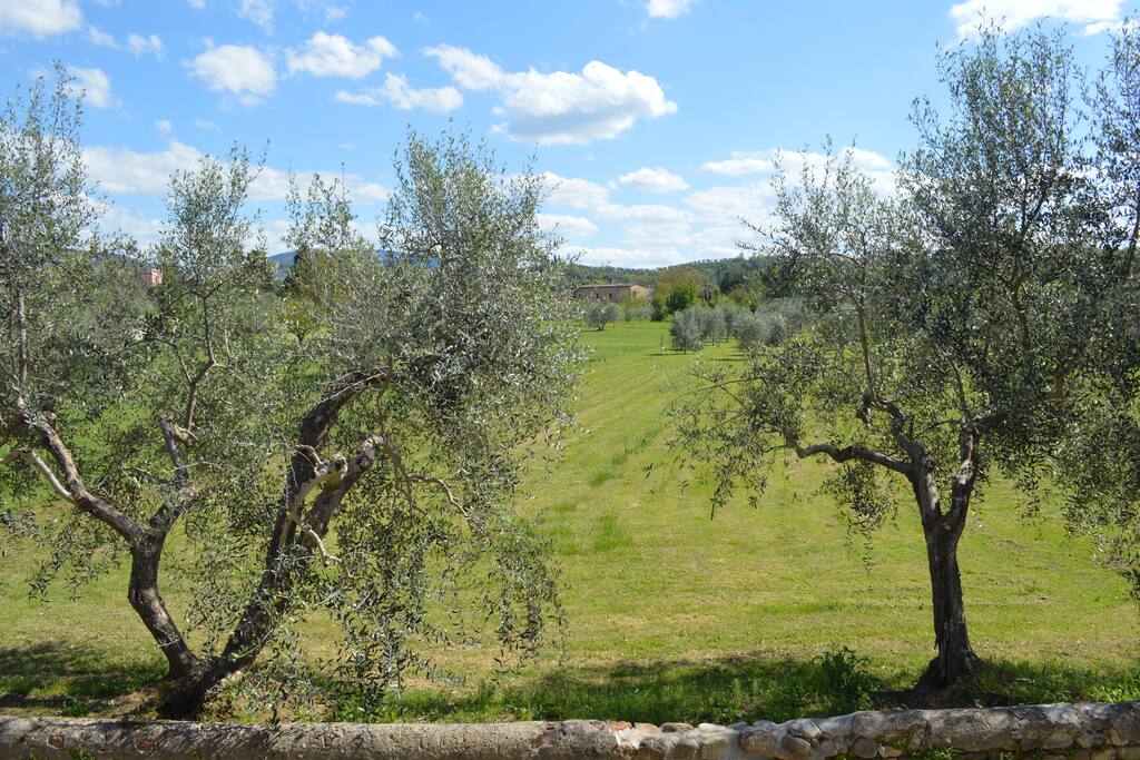 Dalla finestra...