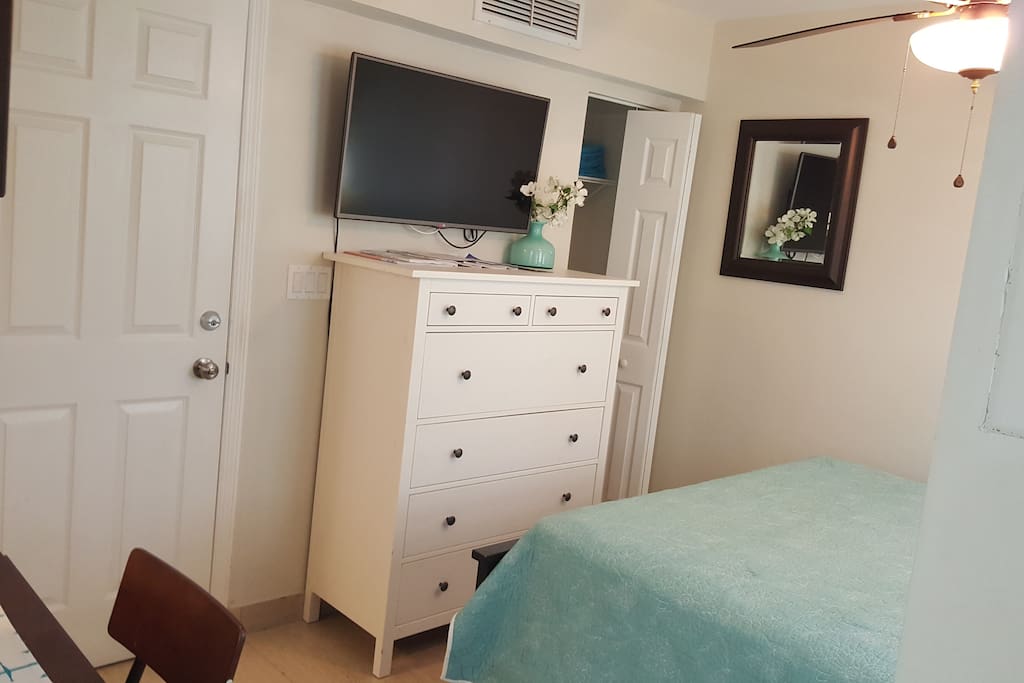 view of closet, dresser, flat screen TV