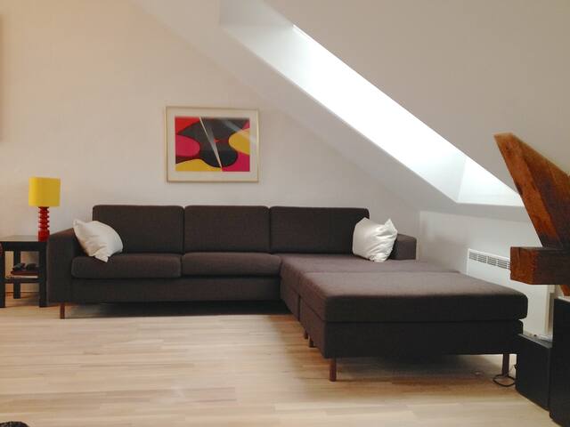 Big 5BR loft, 120 sqm, Grünerløkka, 2 terraces. gallery image 4