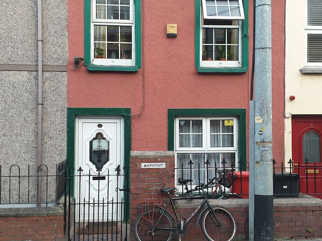 Single cosy room in Historic house adjacent to UCC