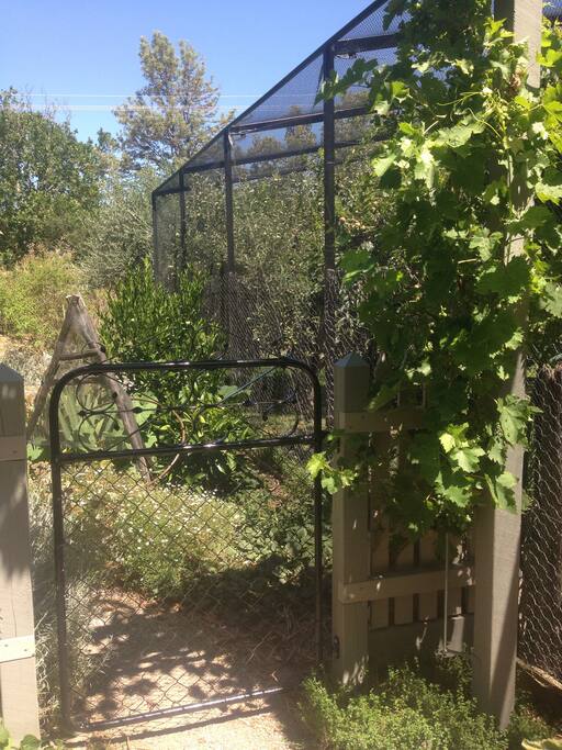 Enclosed orchard