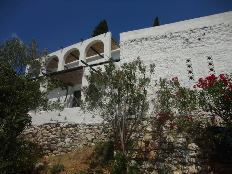 front view of the villa
