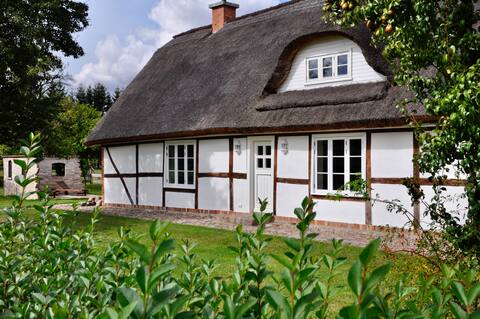Historic thatched roofs between Darß/Zingst&Stralsund