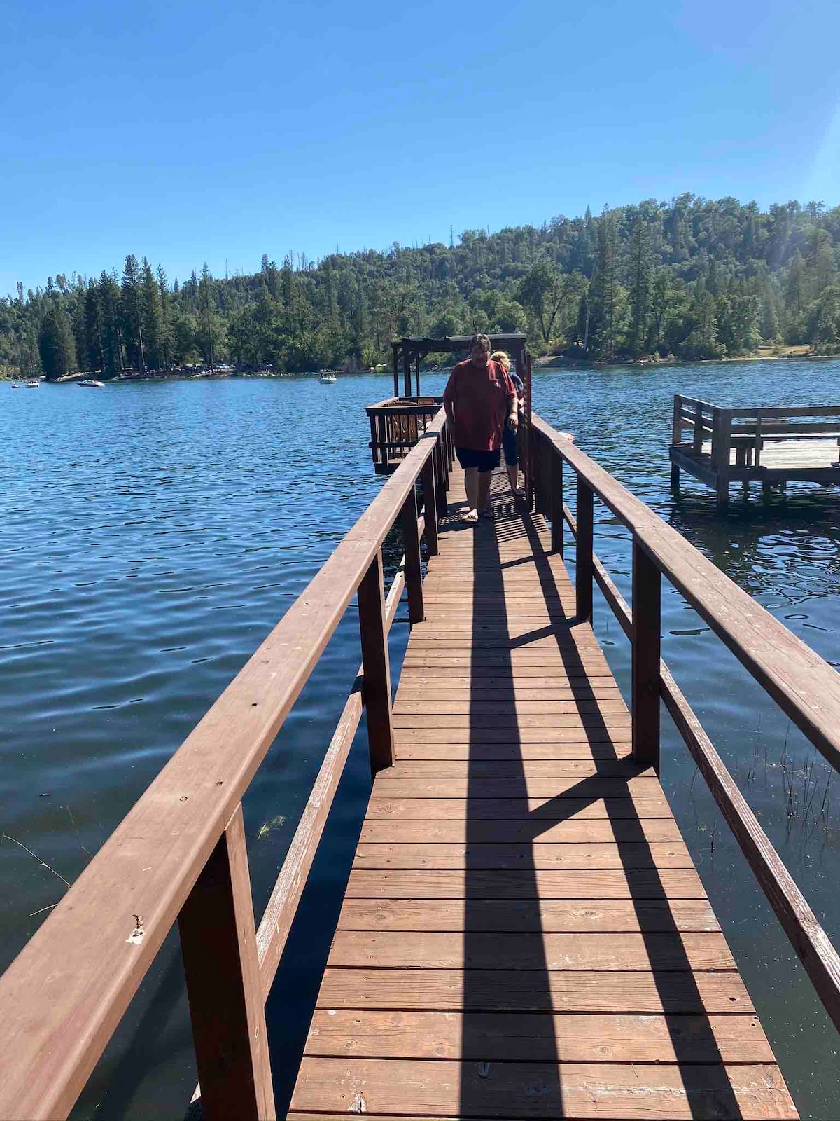A wooden dock extends over the water, bordered by calm lake views and surrounded by lush trees. A figure is seen walking along the dock, under clear blue skies, showcasing a serene outdoor atmosphere. The distant shoreline is partially visible among the greenery.