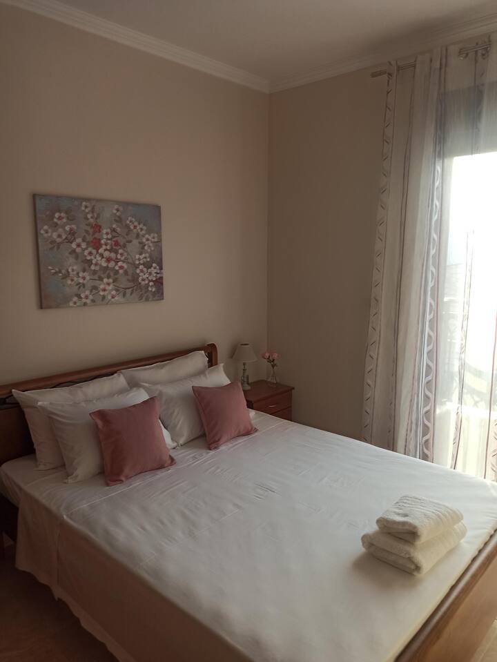 Family Guest House ( Chrysochoidis Volos) Houses for Rent in Volos