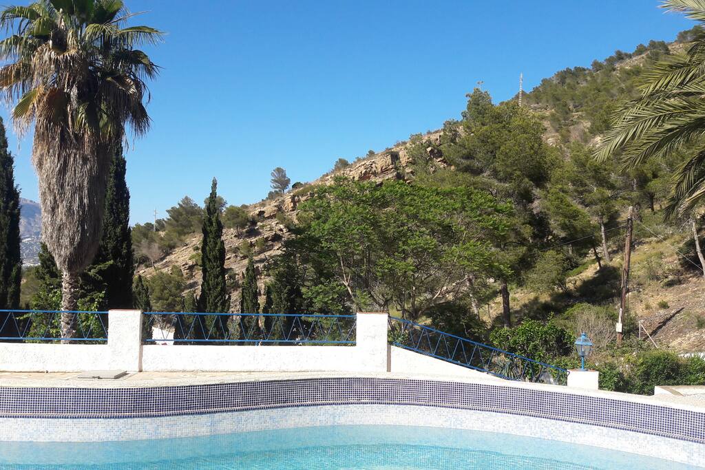 Mountain Pool View