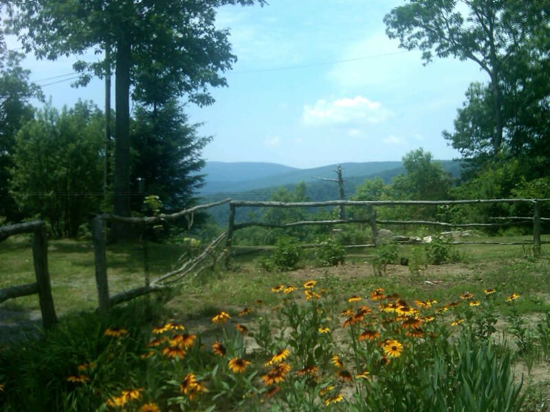 A scenic view from the property captures colorful flowers in the foreground, with a rustic wooden fence. Lush greenery and rolling hills stretch into the distance under a clear sky, providing a tranquil backdrop of the natural landscape.