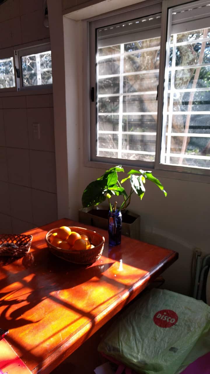 Mucha luz en la cocina comedor en toda temporada del año