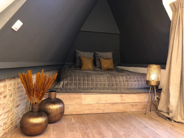 Logeren In Een Uniek Historisch Pand. Locatie +Aaa - Antwerpen