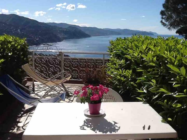 Residence Portofino Est Rapallo (Genoa) Apartments for Rent in