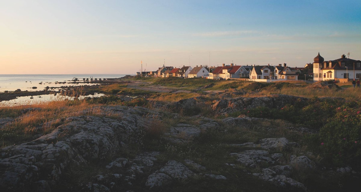 A scenic coastline is depicted, showcasing a row of traditional houses lining the shore. Gentle waves lap against rocky outcrops, while grasslands and wildflowers create a natural foreground. The sky transitions to soft hues of orange and pink as the sun sets on the horizon.