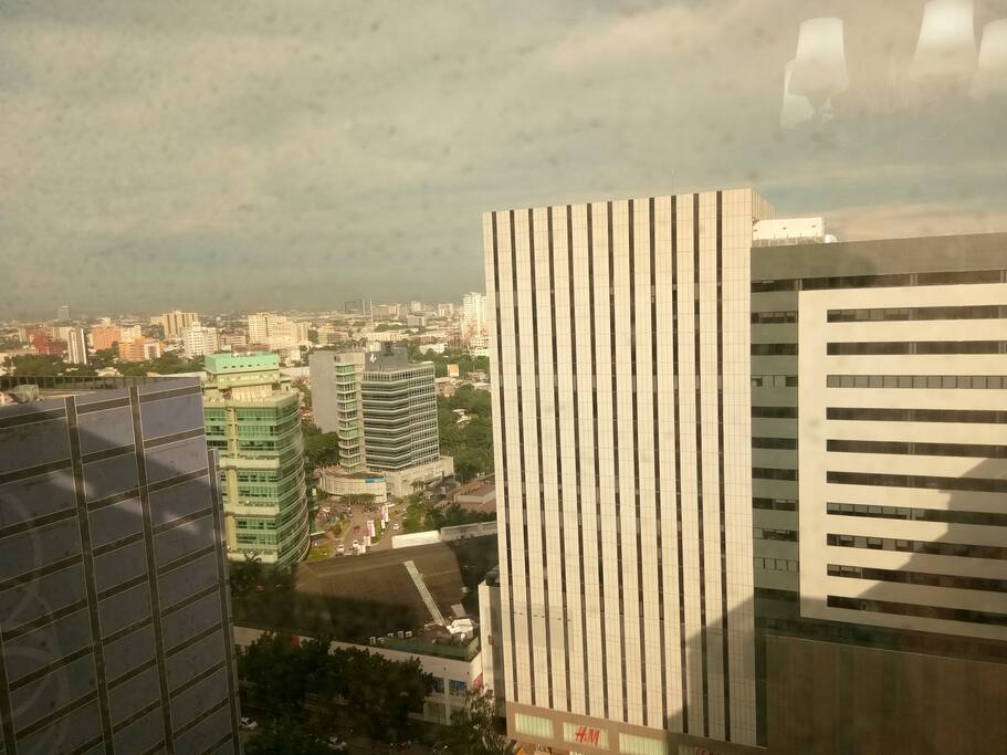 view