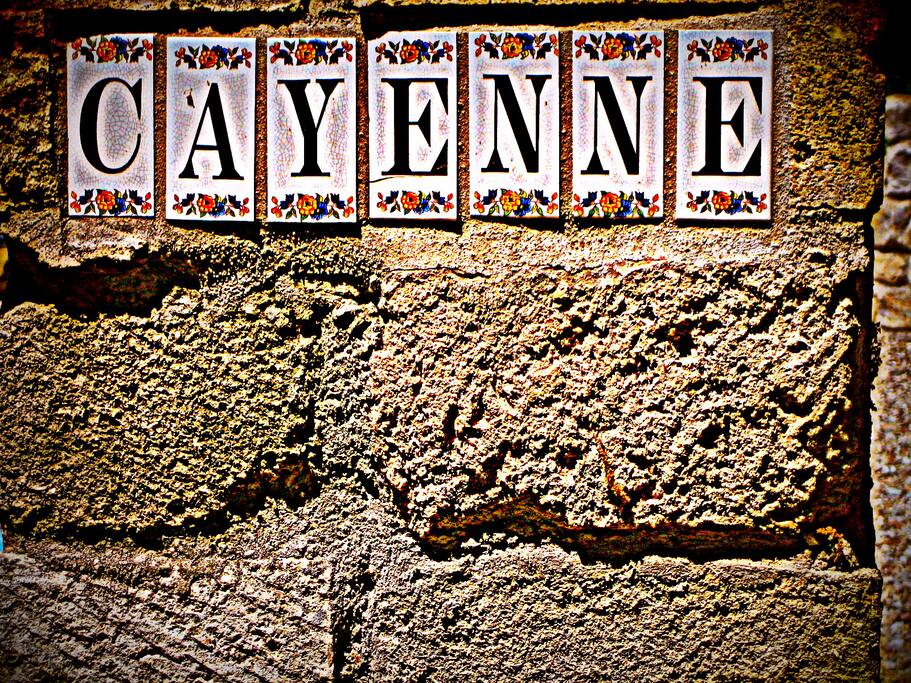 Cayenne - Notre propriété à Dions - Gard