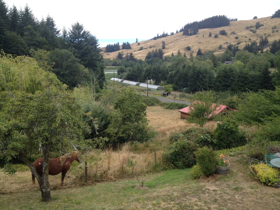 farm setting