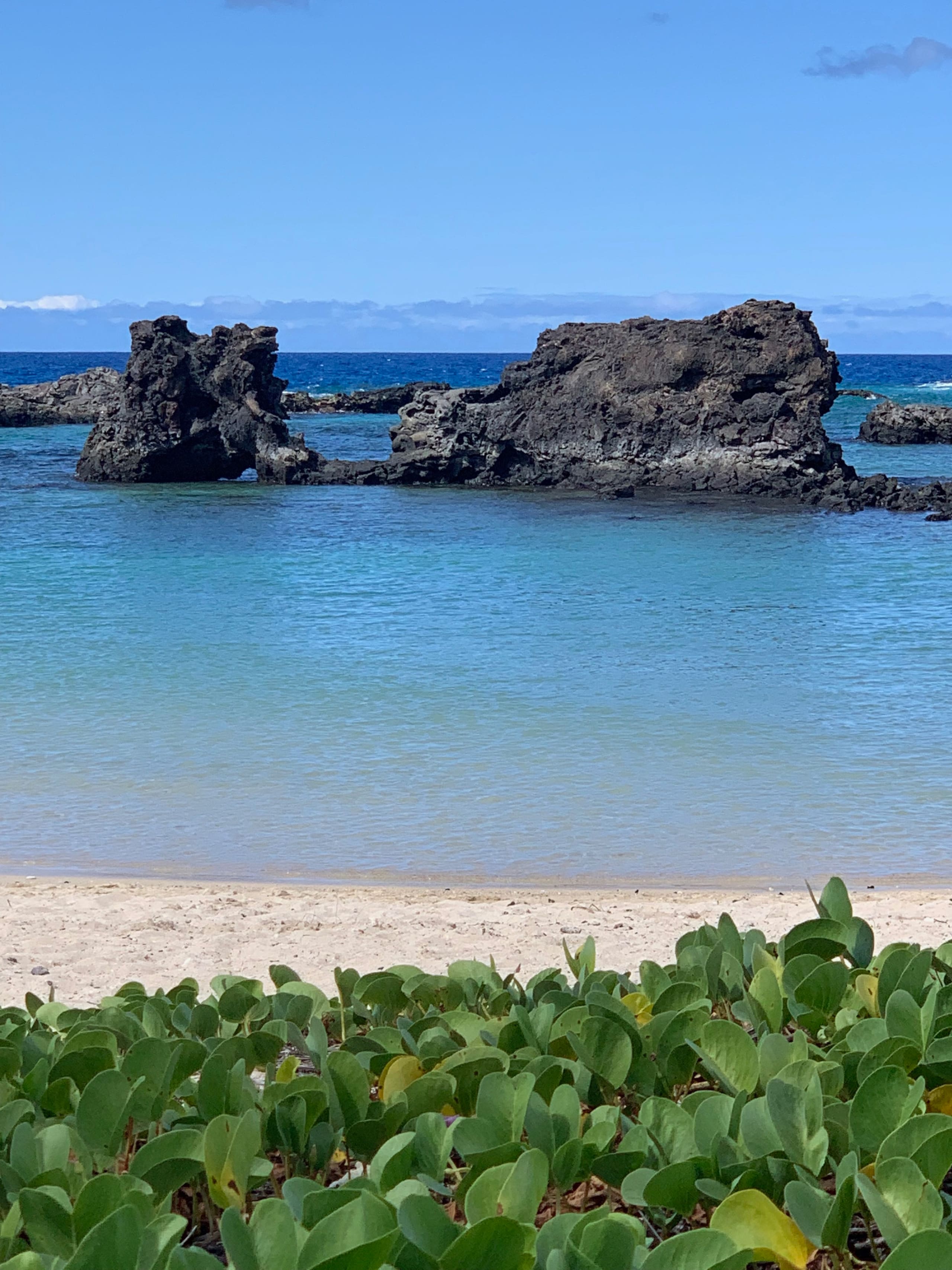 Condo in Kailua-Kona · ★4.96 · 3 bedrooms · 4 beds · 3 baths - Image 45