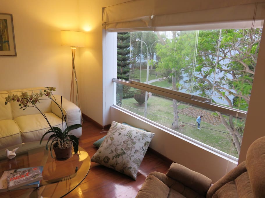 Park view from living room