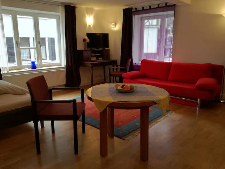 BadenBaden Vacation Rentals & Homes BadenWürttemberg, Germany Airbnb