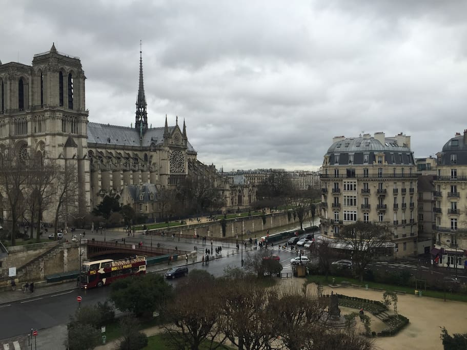 View from
the living room.