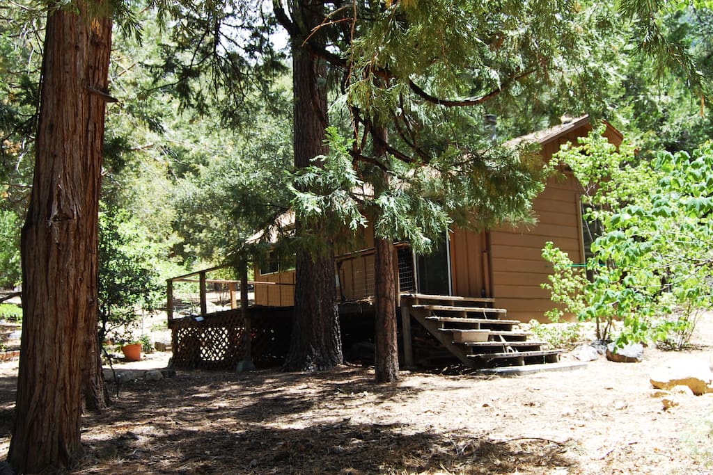 Cozy Cabin in the Forest Cabins for Rent in IdyllwildPine Cove