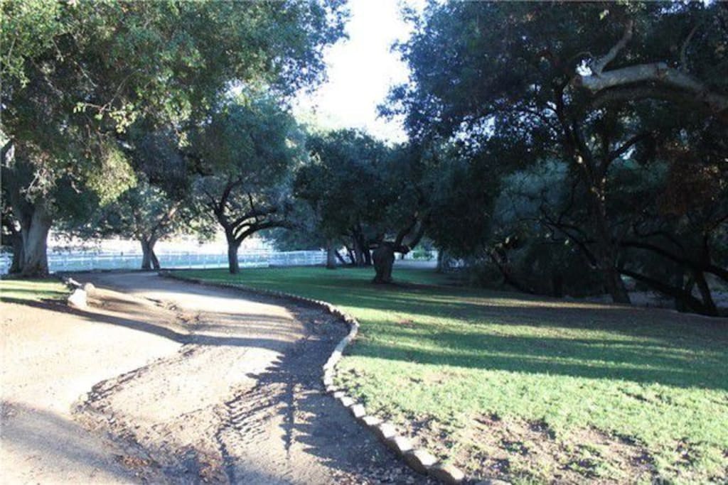 Peaceful walkway