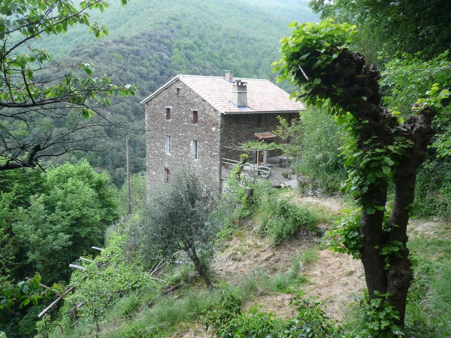 "la maison de Roger"