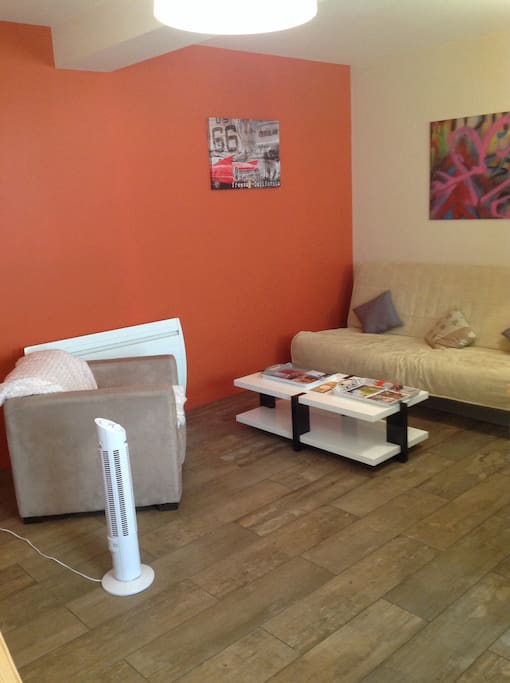 La pièce principale avec le canapé lit (tres bon matelas) et le fauteuil . Nous avons également prévu un ventilateur :))