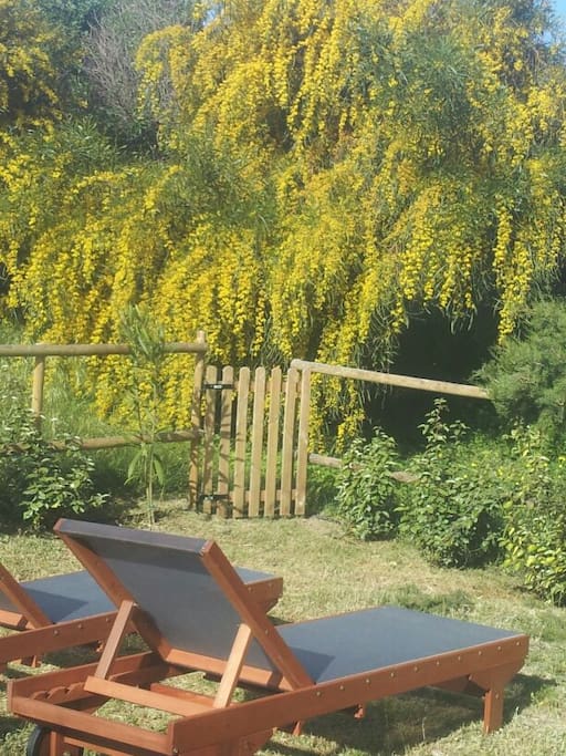 PARTE DEL GIARDINO