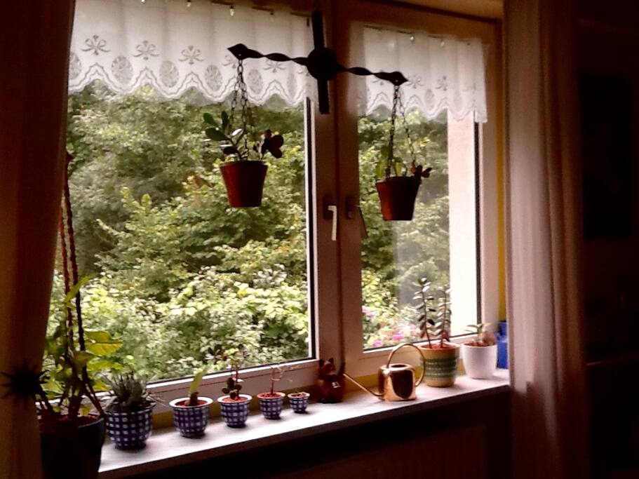 Gästezimmer
Blick auf den Garten