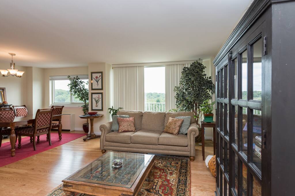 Shared, open-concept living area with TV (hulu/netflix) and blu-ray/DVD.