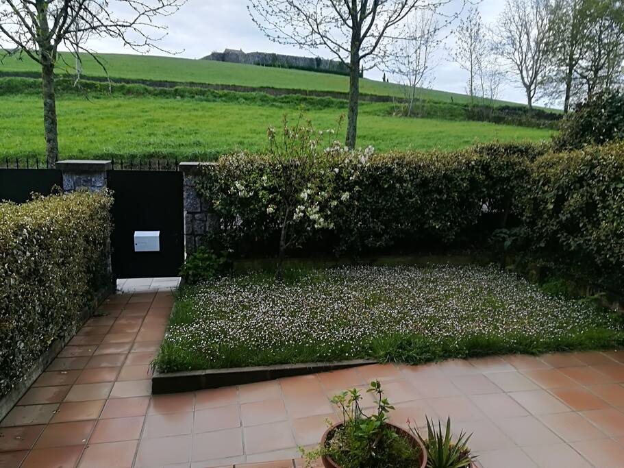 Jardín y Terraza 2