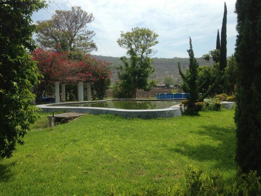 Alberca y Palapa.