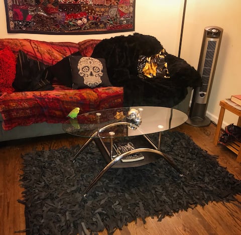 Gorgeous Bushwick Apartment