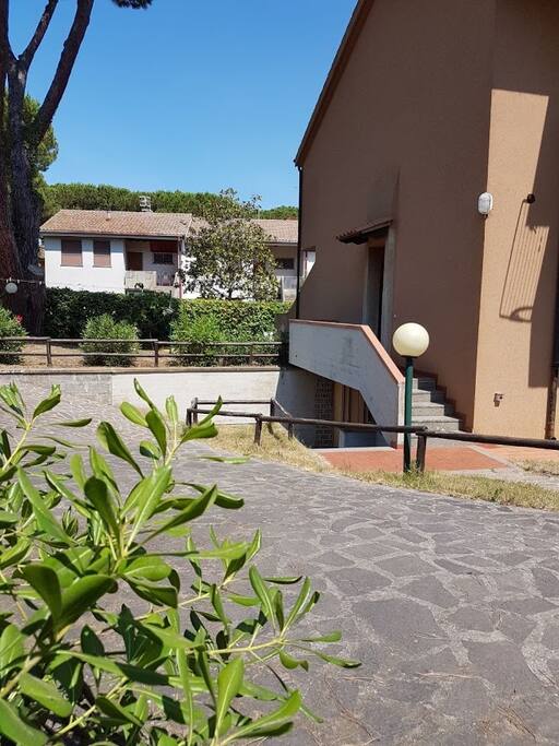 Ingresso