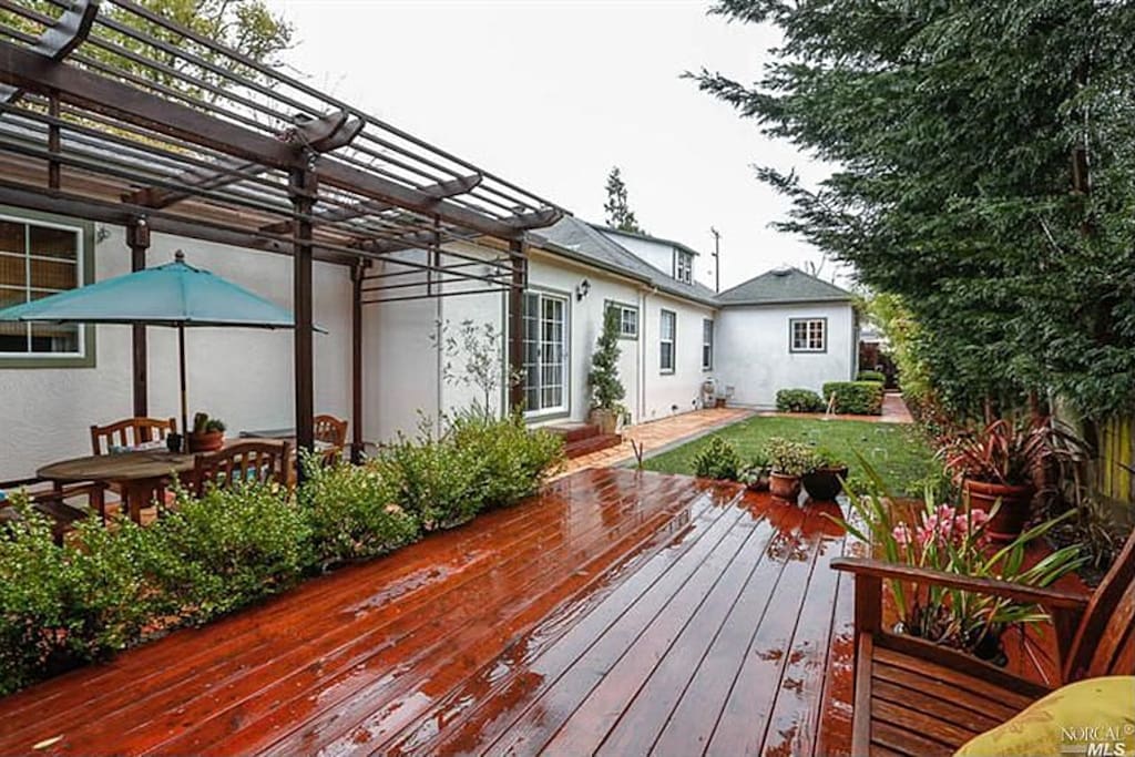 Backyard II