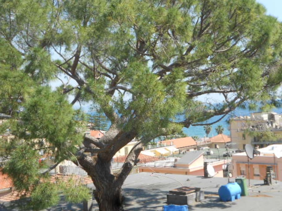 Vista da soggiorno
