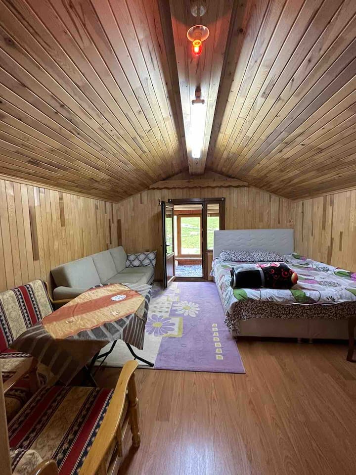 Una habitación doble y también una vista al balcón 