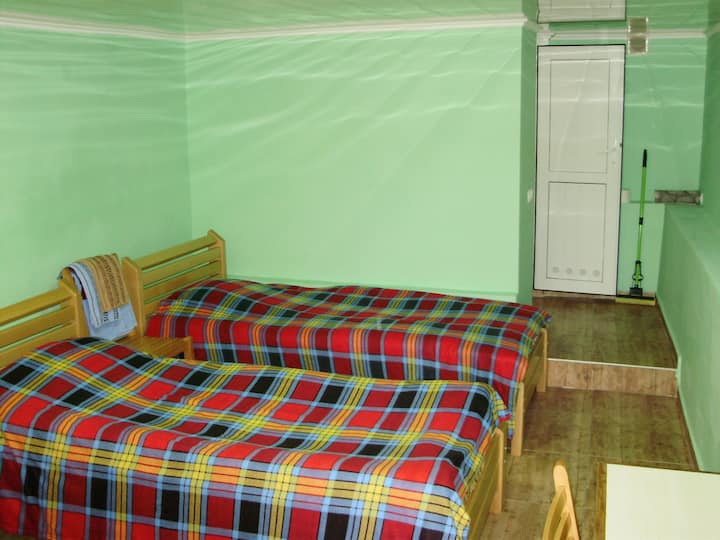 Dos camas individuales (210 cm)