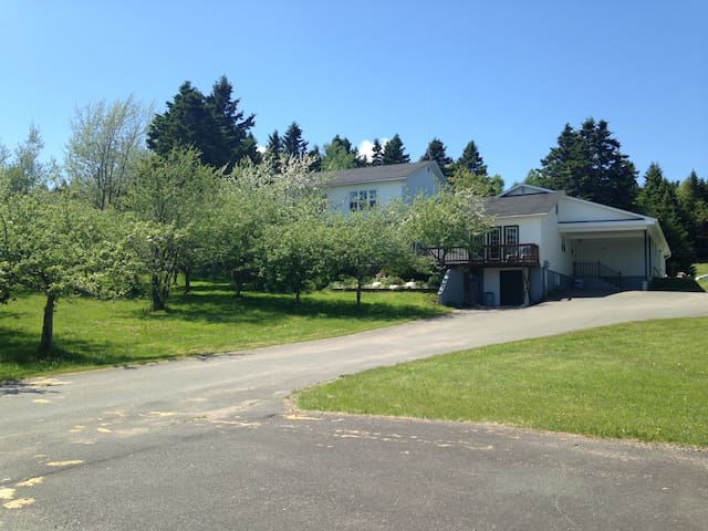 Airbnb Musgravetown Vacation Rentals Places To Stay