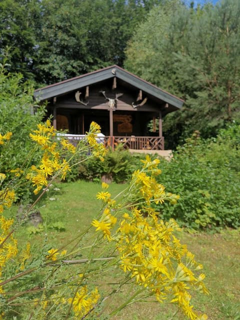 Lakefront log cabin with 3 bedrooms - 6 people